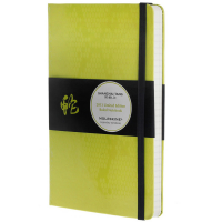 Блокнот Moleskine St Snake A5 Линия Неон Блокнот Moleskine St Snake A5 Линия Неон