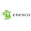 Enesco Enesco