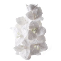 Ваза "Бугенвиль", 72BBD514, Enesco - Купить в интернет-магазине Darilka.com.ua